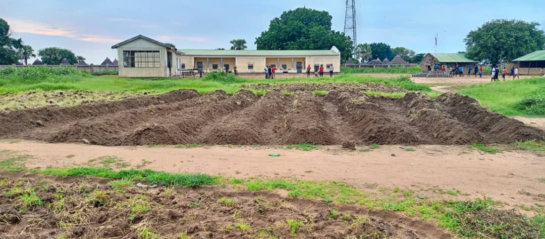 Preparing land for cultivation